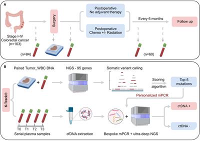 Tumor genomic profiling and personalized tracking of circulating tumor DNA in Vietnamese colorectal cancer patients